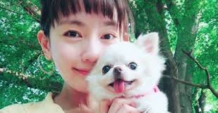 中村ゆりの愛犬 ウニちゃん の旅立ちに 悲痛な心境 もみじのチャレンジブログ